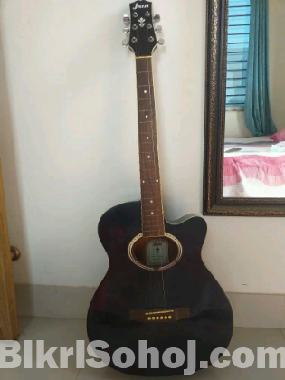 Guitar